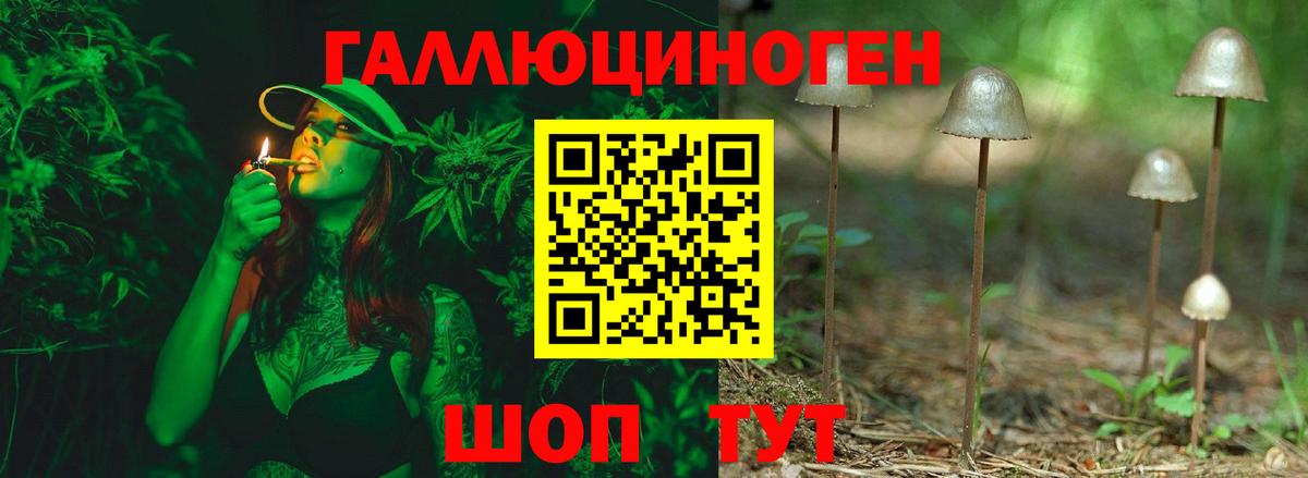Железноводск  Псилоцибиновые грибы ЛСД  закладка  Вход с VPN 