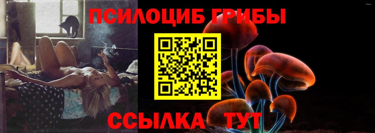 Галлюциногенные грибы прущие грибы Железноводск