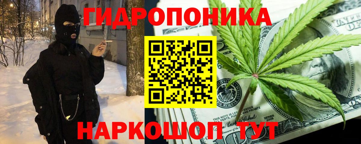 Бошки марихуана MAZAR Железноводск